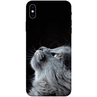 Чохол itsPrint Cute cat для Apple iPhone XS Max (6.5") - Інтернет-магазин спільних покупок ToGether