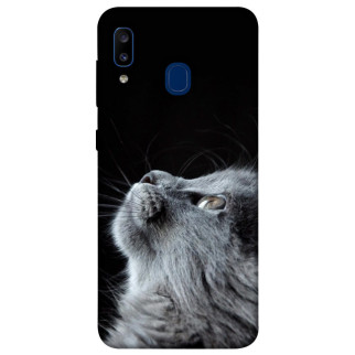 Чохол itsPrint Cute cat для Samsung Galaxy A20 / A30 - Інтернет-магазин спільних покупок ToGether