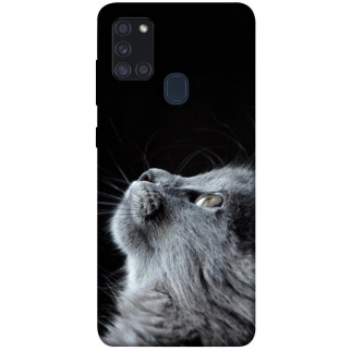 Чохол itsPrint Cute cat для Samsung Galaxy A21s - Інтернет-магазин спільних покупок ToGether
