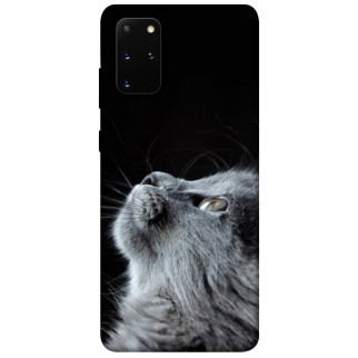 Чохол itsPrint Cute cat для Samsung Galaxy S20+ - Інтернет-магазин спільних покупок ToGether