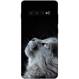 Чохол itsPrint Cute cat для Samsung Galaxy S10+ - Інтернет-магазин спільних покупок ToGether