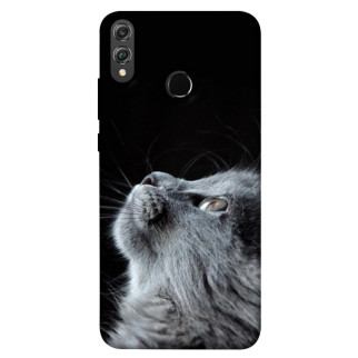 Чохол itsPrint Cute cat для Huawei Honor 8X - Інтернет-магазин спільних покупок ToGether