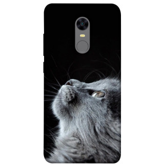 Чохол itsPrint Cute cat для Xiaomi Redmi 5 Plus / Redmi Note 5 (Single Camera) - Інтернет-магазин спільних покупок ToGether