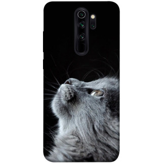Чохол itsPrint Cute cat для Xiaomi Redmi Note 8 Pro - Інтернет-магазин спільних покупок ToGether