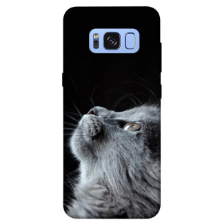 Чохол itsPrint Cute cat для Samsung G950 Galaxy S8 - Інтернет-магазин спільних покупок ToGether