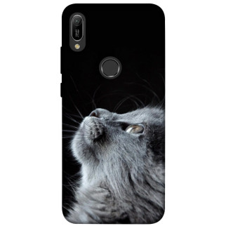Чохол itsPrint Cute cat для Huawei Y6 (2019) - Інтернет-магазин спільних покупок ToGether