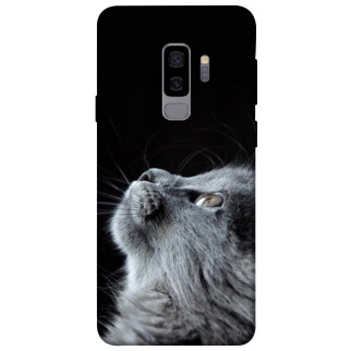 Чохол itsPrint Cute cat для Samsung Galaxy S9+ - Інтернет-магазин спільних покупок ToGether