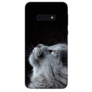 Чохол itsPrint Cute cat для Samsung Galaxy S10e - Інтернет-магазин спільних покупок ToGether