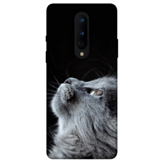 Чохол itsPrint Cute cat для OnePlus 8 - Інтернет-магазин спільних покупок ToGether