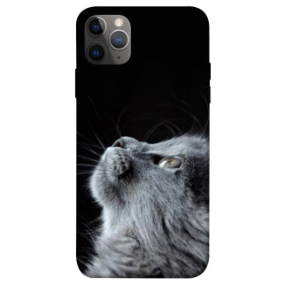 Чохол itsPrint Cute cat для Apple iPhone 12 Pro Max (6.7") - Інтернет-магазин спільних покупок ToGether