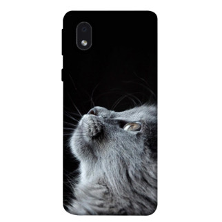 Чохол itsPrint Cute cat для Samsung Galaxy M01 Core / A01 Core - Інтернет-магазин спільних покупок ToGether