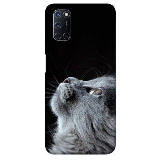 Чохол itsPrint Cute cat для Oppo A52 / A72 / A92 - Інтернет-магазин спільних покупок ToGether