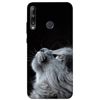 Чохол itsPrint Cute cat для Huawei P40 Lite E / Y7p (2020) - Інтернет-магазин спільних покупок ToGether