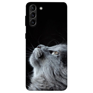 Чохол itsPrint Cute cat для Samsung Galaxy S21+ - Інтернет-магазин спільних покупок ToGether