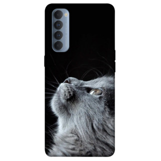 Чохол itsPrint Cute cat для Oppo Reno 4 Pro - Інтернет-магазин спільних покупок ToGether