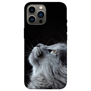 Чохол itsPrint Cute cat для Apple iPhone 13 Pro Max (6.7") - Інтернет-магазин спільних покупок ToGether