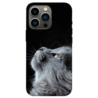 Чохол itsPrint Cute cat для Apple iPhone 13 Pro (6.1") - Інтернет-магазин спільних покупок ToGether