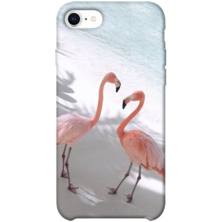 Чохол itsPrint Flamingos для Apple iPhone SE (2020) - Інтернет-магазин спільних покупок ToGether