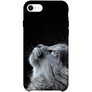 Чохол itsPrint Cute cat для Apple iPhone SE (2020) - Інтернет-магазин спільних покупок ToGether