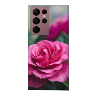 Чохол itsPrint Троянда у саду для Samsung Galaxy S22 Ultra - Інтернет-магазин спільних покупок ToGether