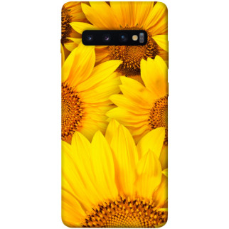 Чохол itsPrint Букет соняшників для Samsung Galaxy S10+ - Інтернет-магазин спільних покупок ToGether