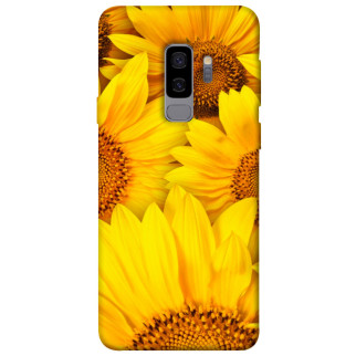 Чохол itsPrint Букет соняшників для Samsung Galaxy S9+ - Інтернет-магазин спільних покупок ToGether