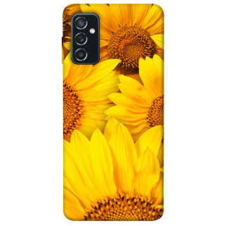 Чохол itsPrint Букет соняшників для Samsung Galaxy M52 - Інтернет-магазин спільних покупок ToGether