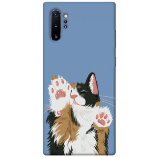 Чохол itsPrint Funny cat для Samsung Galaxy Note 10 Plus - Інтернет-магазин спільних покупок ToGether