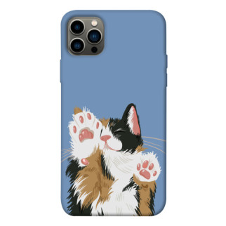 Чохол itsPrint Funny cat для Apple iPhone 12 Pro (6.1") - Інтернет-магазин спільних покупок ToGether