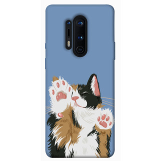 Чохол itsPrint Funny cat для OnePlus 8 Pro - Інтернет-магазин спільних покупок ToGether