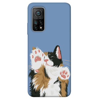 Чохол itsPrint Funny cat для Xiaomi Mi 10T - Інтернет-магазин спільних покупок ToGether