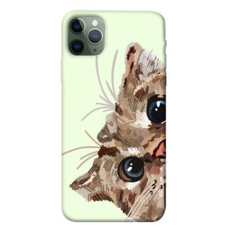 Чохол itsPrint Cat muzzle для Apple iPhone 11 Pro Max (6.5") - Інтернет-магазин спільних покупок ToGether