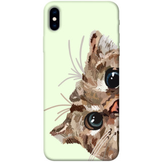 Чохол itsPrint Cat muzzle для Apple iPhone XS Max (6.5") - Інтернет-магазин спільних покупок ToGether