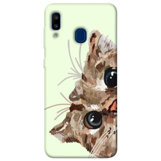 Чохол itsPrint Cat muzzle для Samsung Galaxy A20 / A30 - Інтернет-магазин спільних покупок ToGether