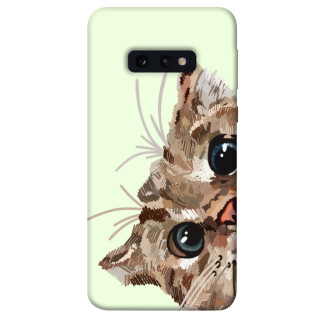 Чохол itsPrint Cat muzzle для Samsung Galaxy S10e - Інтернет-магазин спільних покупок ToGether