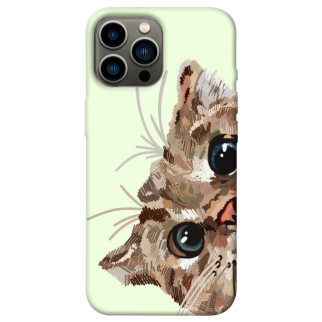 Чохол itsPrint Cat muzzle для Apple iPhone 13 Pro Max (6.7") - Інтернет-магазин спільних покупок ToGether