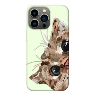 Чохол itsPrint Cat muzzle для Apple iPhone 13 Pro (6.1") - Інтернет-магазин спільних покупок ToGether