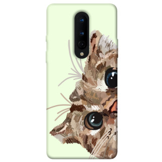 Чохол itsPrint Cat muzzle для OnePlus 8 - Інтернет-магазин спільних покупок ToGether