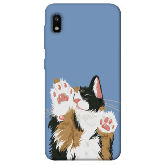 Чохол itsPrint Funny cat для Samsung Galaxy A10 (A105F) - Інтернет-магазин спільних покупок ToGether