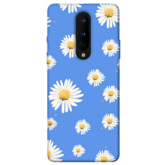 Чохол itsPrint Chamomile pattern для OnePlus 8 - Інтернет-магазин спільних покупок ToGether