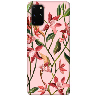 Чохол itsPrint Floral motifs для Samsung Galaxy S20+ - Інтернет-магазин спільних покупок ToGether