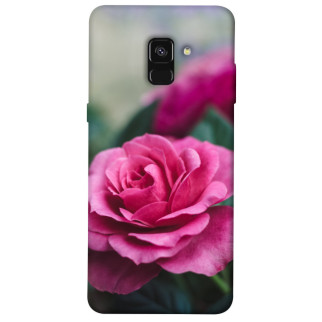 Чохол itsPrint Троянда у саду для Samsung A530 Galaxy A8 (2018) - Інтернет-магазин спільних покупок ToGether