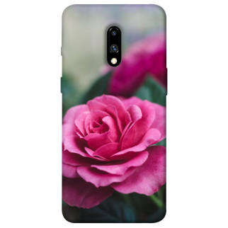 Чохол itsPrint Троянда у саду для OnePlus 7 - Інтернет-магазин спільних покупок ToGether
