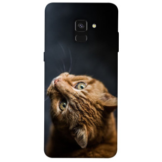 Чохол itsPrint Рудий кіт для Samsung A530 Galaxy A8 (2018) - Інтернет-магазин спільних покупок ToGether