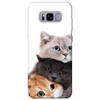 Чохол itsPrint Три коти для Samsung G955 Galaxy S8 Plus - Інтернет-магазин спільних покупок ToGether