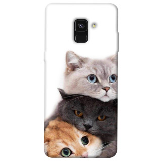 Чохол itsPrint Три коти для Samsung A530 Galaxy A8 (2018) - Інтернет-магазин спільних покупок ToGether