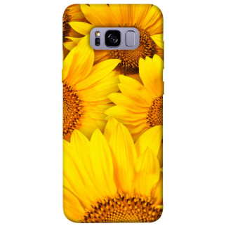 Чохол itsPrint Букет соняшників для Samsung G955 Galaxy S8 Plus - Інтернет-магазин спільних покупок ToGether