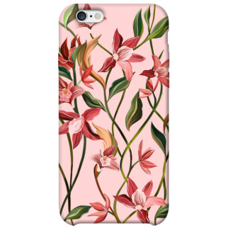 Чохол itsPrint Floral motifs для Apple iPhone 6/6s (4.7") - Інтернет-магазин спільних покупок ToGether