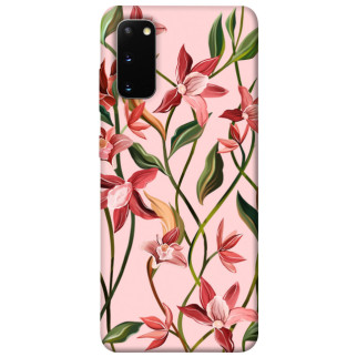 Чохол itsPrint Floral motifs для Samsung Galaxy S20 - Інтернет-магазин спільних покупок ToGether