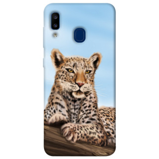 Чохол itsPrint Proud leopard для Samsung Galaxy A20 / A30 - Інтернет-магазин спільних покупок ToGether